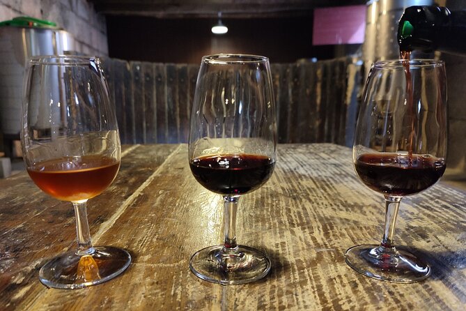 Douro & Vinho Verde: Family Wineries Private Tour in Portugal - Transport Comfort That Makes the Afternoon Easier