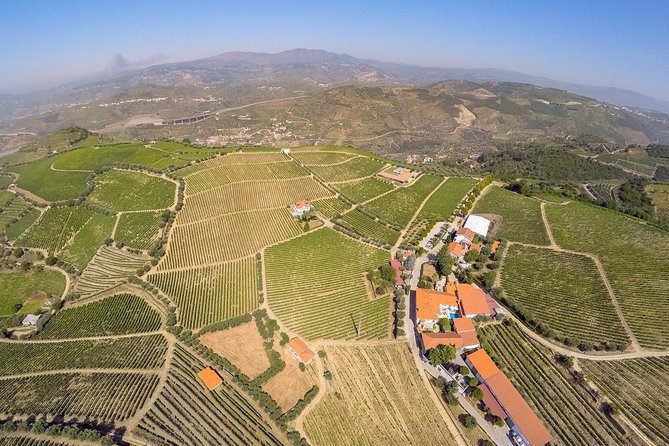 Driver with Private Vehicle in the Douro Valley - Starting in Peso da Régua, With Optional Hotel Pickup From Porto and the Douro