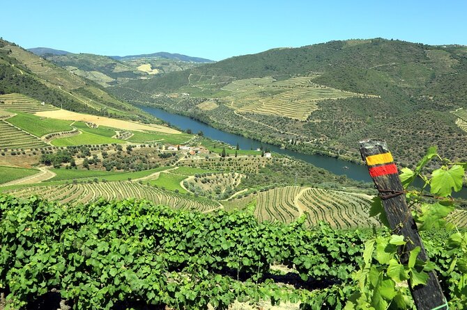 Ervedosa do Douro Walking Tour - Key highlights you will feel right away