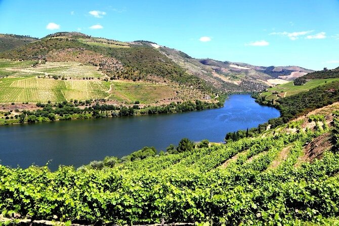 Ervedosa do Douro Walking Tour - Private guide and included tastings: is $180 good value?