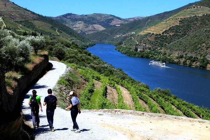 Ervedosa do Douro Walking Tour - Quinta do Bomfim: the port tasting break that resets the day