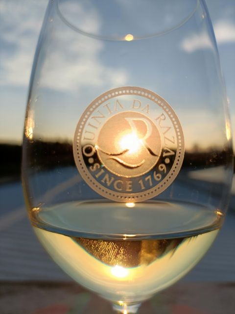 Exclusive 5-wine tasting - Who This Tour Fits Best (and Who Might Skip It)