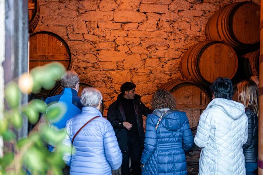 Exclusive Douro Valley: 3 Wineries, 9 Wine Tastings & Lunch - Price and value: what $153 really buys you