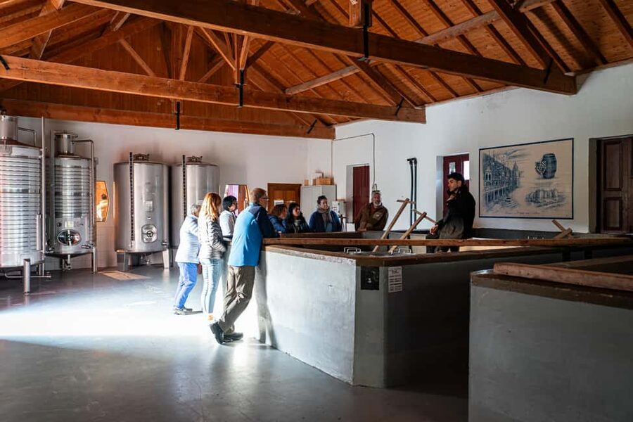 Exclusive Douro Valley: 3 Wineries, 9 Wine Tastings & Lunch - Stop 2 winery: Big views and a structured 4-wine tasting