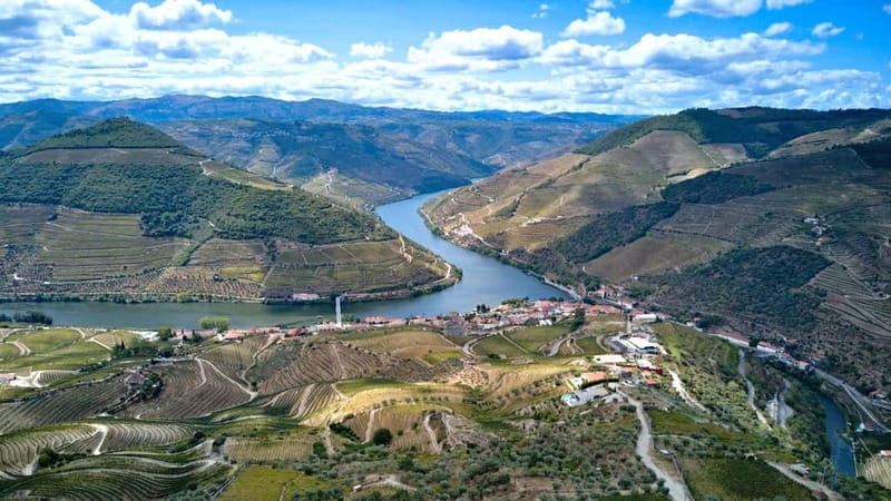 Exclusive Douro Valley: 3 Wineries, 9 Wine Tastings & Lunch - The guide and the small-group advantage (8 people makes a difference)
