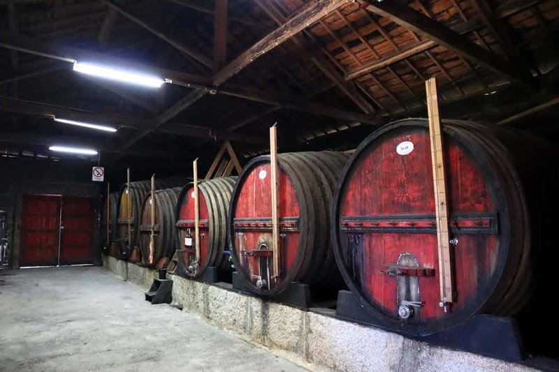 Exclusive Douro Valley: 3 Wineries, 9 Wine Tastings & Lunch - Meeting point, timing, and how not to miss the pickup