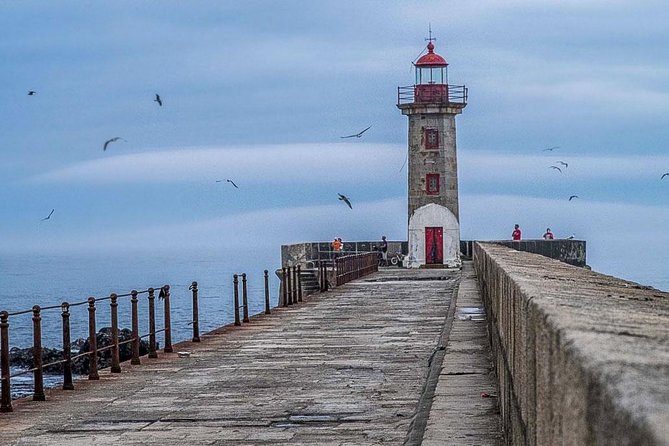 Experience Porto by Bike: 3-Hour Private Tour - Price and Value: What $59.28 Buys for 3 Hours of Porto