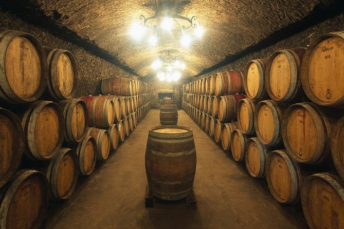 Food Tasting Tour - Adega Bodega and Porto wine talk, where the drink lessons come in