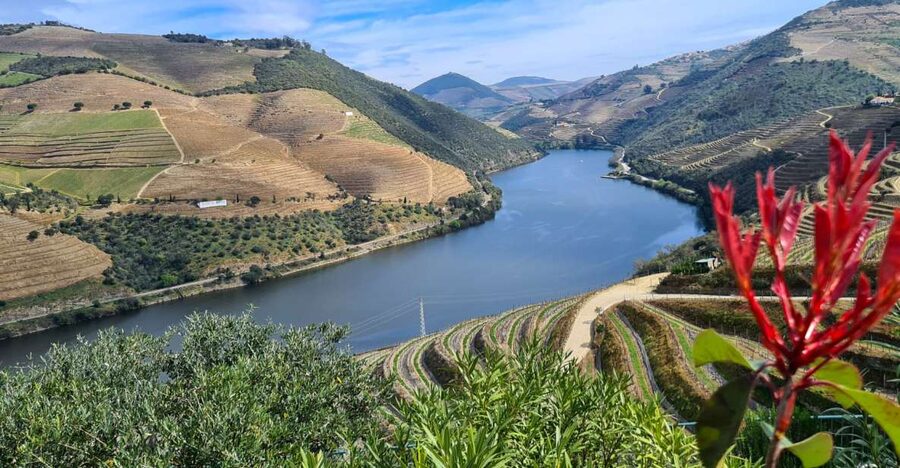 From Peso da Régua: Visit 3 wineries, tasting and viewpoint - Key highlights worth your attention