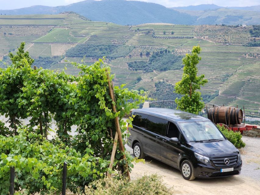 From Peso da Régua: Visit 3 wineries, tasting and viewpoint - A Private Douro Tasting Day That Starts at Your Door in Peso da Régua