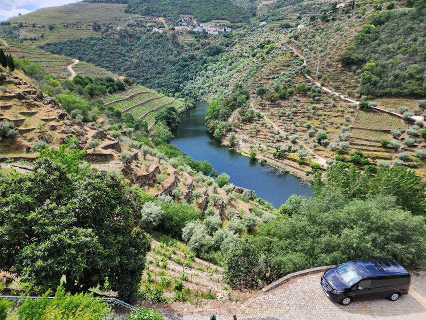 From Peso da Régua: Visit 3 wineries, tasting and viewpoint - Stop 3: The Wine and Olive Oil Producer That Changes the Pace