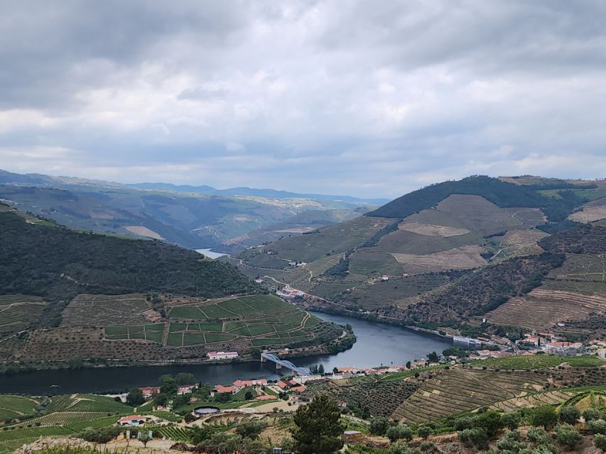 From Peso da Régua: Visit 3 wineries, tasting and viewpoint - Hotel Pickup, Driver Safety, and Why This Is Worth the Splurge