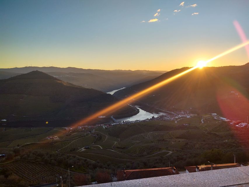 From Peso da Régua: Visit 3 wineries, tasting and viewpoint - Price and Value: What $216 Per Person Is Really Buying
