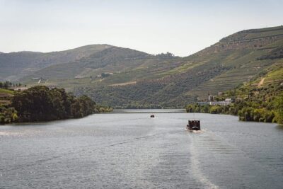 Douro Valley Rabelo Boat Tour with Port Wine