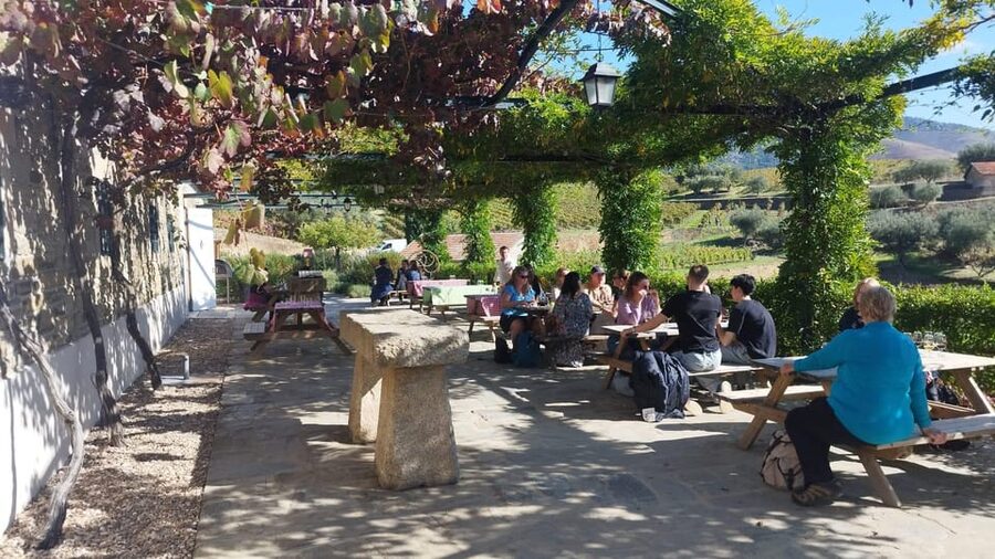 From Pinhão: Douro Valley Tour w/ Wine Tasting and Boat Trip - Winery visit and tasting: table wines in the morning, Port in the afternoon