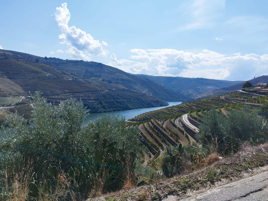 From Pinhão: Douro Valley Tour w/ Wine Tasting and Boat Trip - Who should book this Douro Valley tour (and who should skip it)