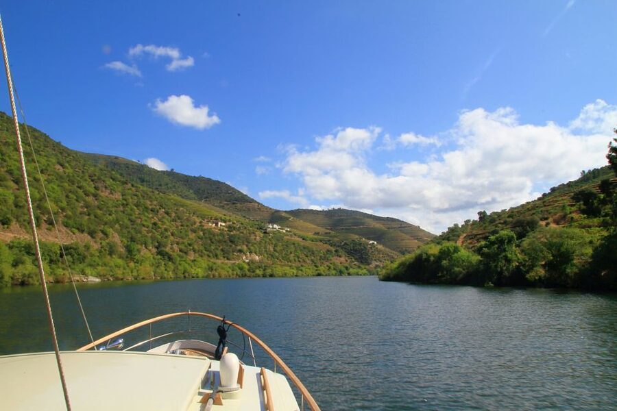 From Pinhão: Private Yacht Cruise along the Douro River - What you actually see on the Douro: vineyards and stone terraces