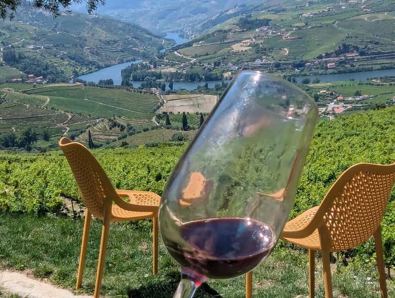 From Porto: 2 Wine Regions, Farm-to-Table Lunch & Boat - The 11 tastings breakdown: what those pours mean for your palate