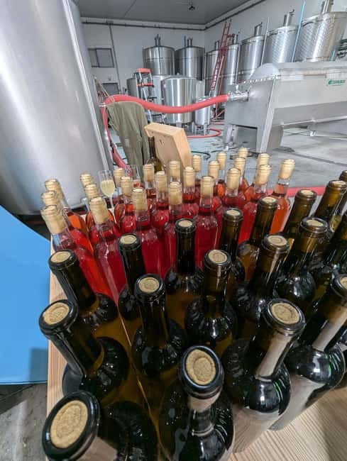 From Porto: 2 Wine Regions, Farm-to-Table Lunch & Boat - Vinho Verde morning at the estate: breakfast, vineyard walks, and cellar time