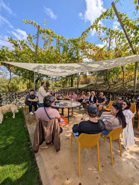 From Porto: 2 Wine Regions, Farm-to-Table Lunch & Boat - Douro Valley winery segment: views first, then the winemaker energy