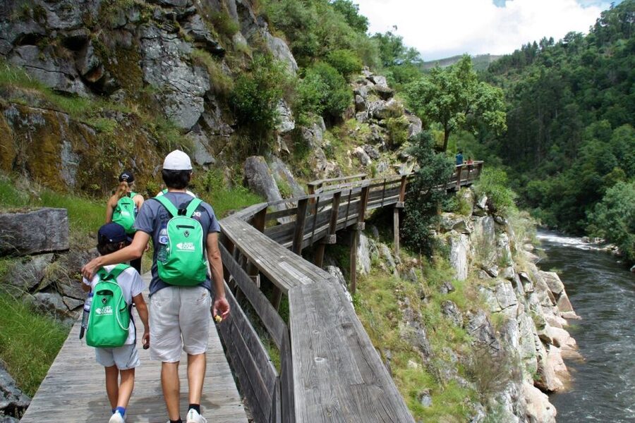 From Porto: 516 Arouca Bridge and Paiva Walkways Guided Tour - Price and logistics: does $111 feel like value?
