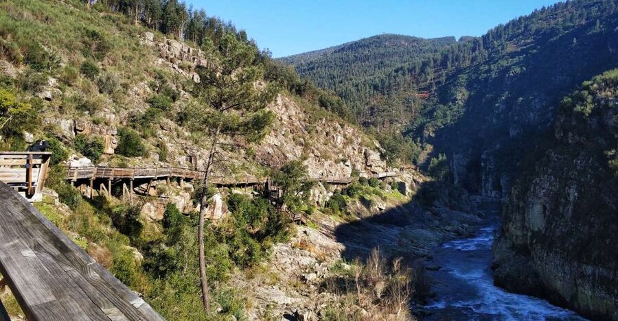 From Porto: Arouca 516 and Paiva Walkways Guided Day Trip - From the trailhead to the river gorge: the Paiva Walkways hike, step by step