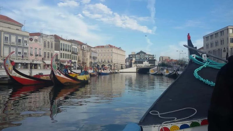 From Porto: Aveiro & Coimbra Tour with Moliceiro Boat Cruise - Key things to look forward to