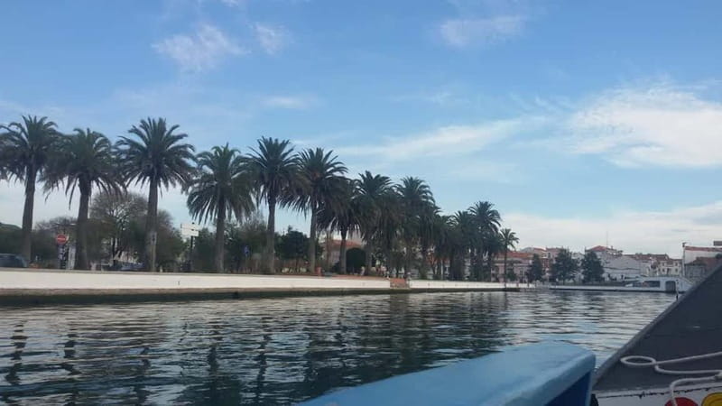 From Porto: Aveiro & Coimbra Tour with Moliceiro Boat Cruise - From Porto to Aveiro: what the van day feels like