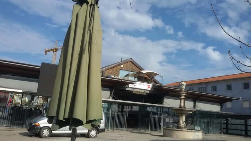 From Porto: Aveiro & Coimbra Tour with Moliceiro Boat Cruise - Price and what you really get for $125
