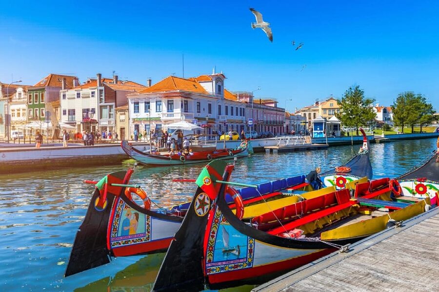 From Porto: Aveiro Half Day Tour - Key Things I’d Watch For