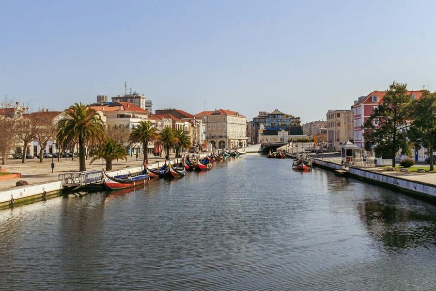 From Porto: Aveiro Half Day Tour - Price and Value: Is $70 for a 5-Hour Day Worth It?