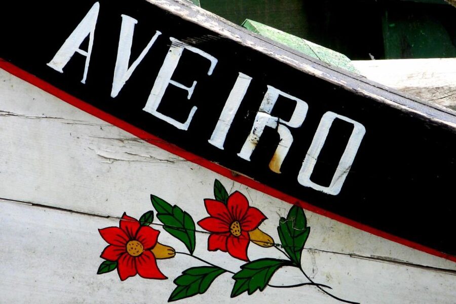 From Porto: Aveiro Half-Day Tour with 1-Hour Cruise - How the moliceiro canal cruise changes the whole trip