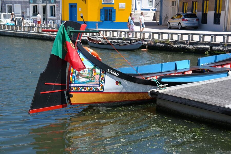 From Porto: Aveiro Half-Day Tour with 1-Hour Cruise - The coach pacing on a 4-hour day trip, and who it fits best