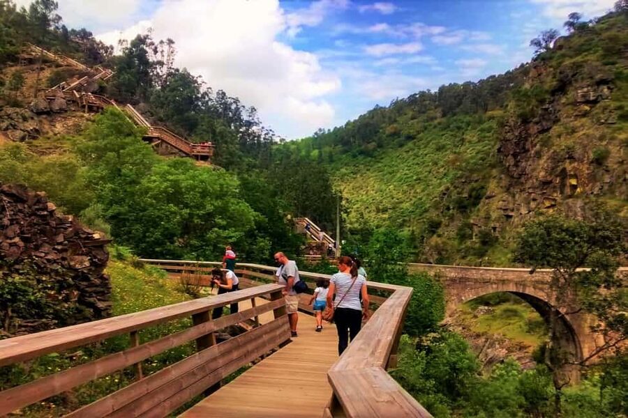 From Porto: Aveiro, Paiva Walkways and Arouca 516 Footbridge - Key highlights you will actually feel