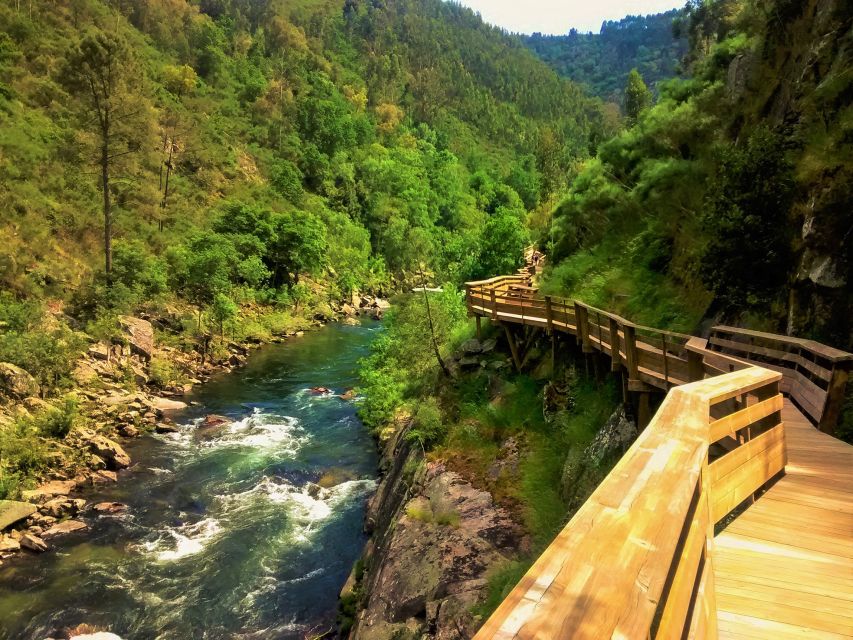 From Porto: Aveiro, Paiva Walkways and Arouca 516 Footbridge - Paiva Walkways: 5 km of easy-medium downhill on a wooden boardwalk