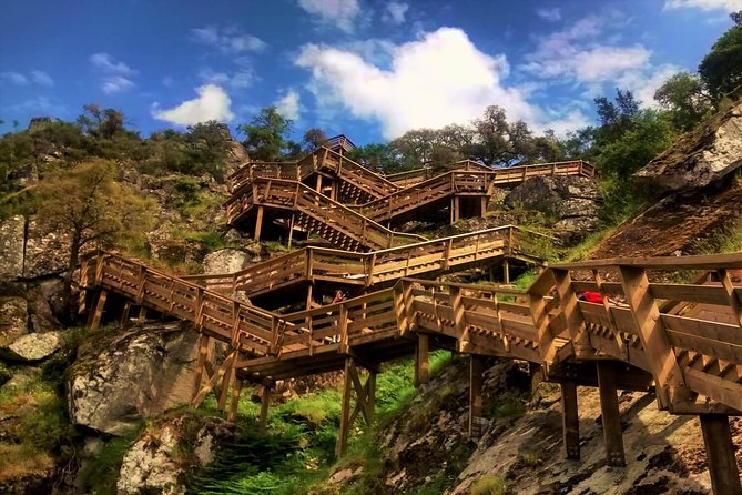 From Porto: Aveiro, Paiva Walkways, Suspension Bridge and Lunch - Key highlights you should know before you go