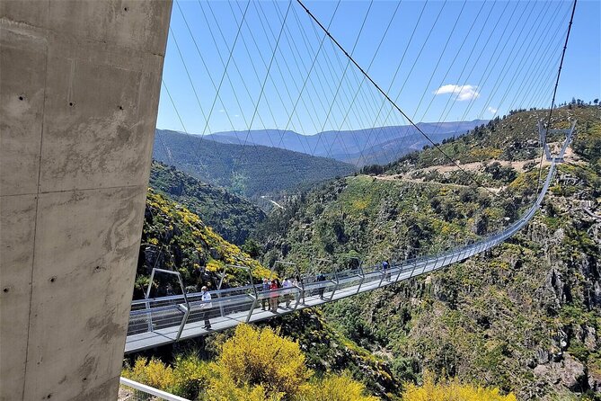From Porto: Aveiro, Paiva Walkways, Suspension Bridge and Lunch - Paiva Walkways: the 5 km river hike and why shoes matter