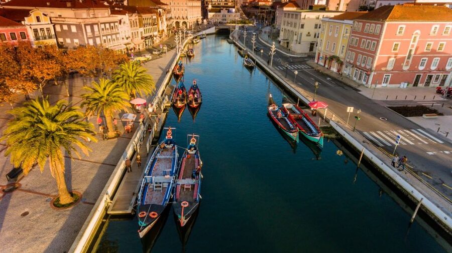 From Porto: Aveiro Private Guided Day Trip - Lunch and ovos moles: how to eat well without blowing the plan