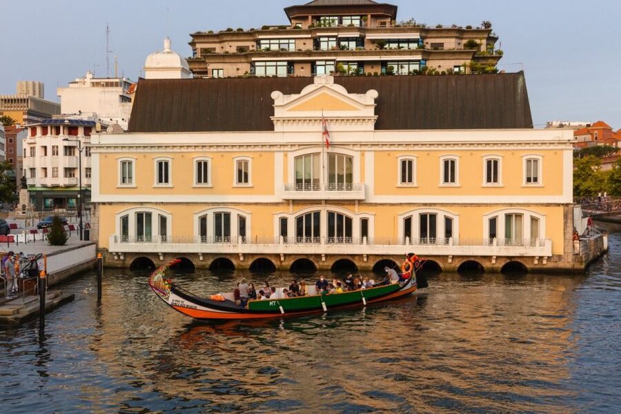 From Porto: Aveiro Private Guided Day Trip - Price and logistics: what this tour gets you for $337