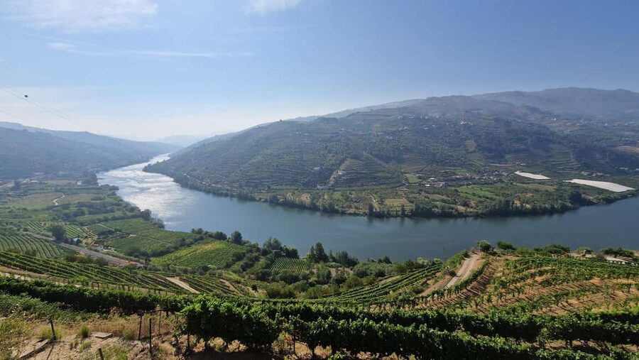 From Porto Day Douro Valley Wine Tour 2 Wine Tasting & Lunch - Sabrosa Stop: Walking Break and Wine Tasting With Local Context