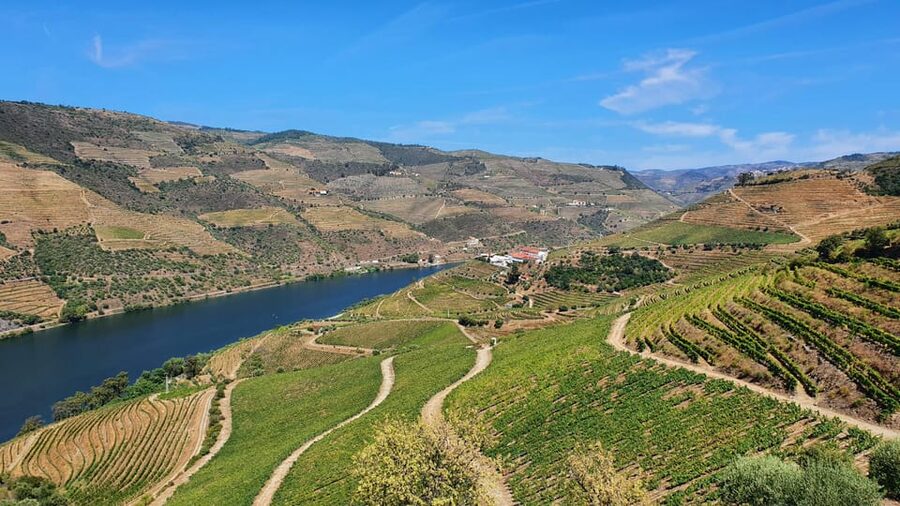 From Porto Day Douro Valley Wine Tour 2 Wine Tasting & Lunch - Douro Valley Lunch: Regional Plates, Not Just a Meal Stop