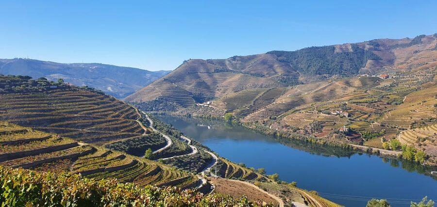From Porto Day Douro Valley Wine Tour 2 Wine Tasting & Lunch - Rabelo Boat Cruise on the Douro River: The Calm Middle of the Day