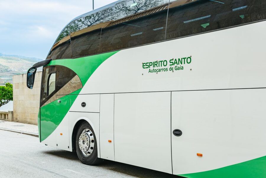 From Porto: Douro River Cruise to Régua with Lunch - Cruising the Douro Valley while the dams do the work