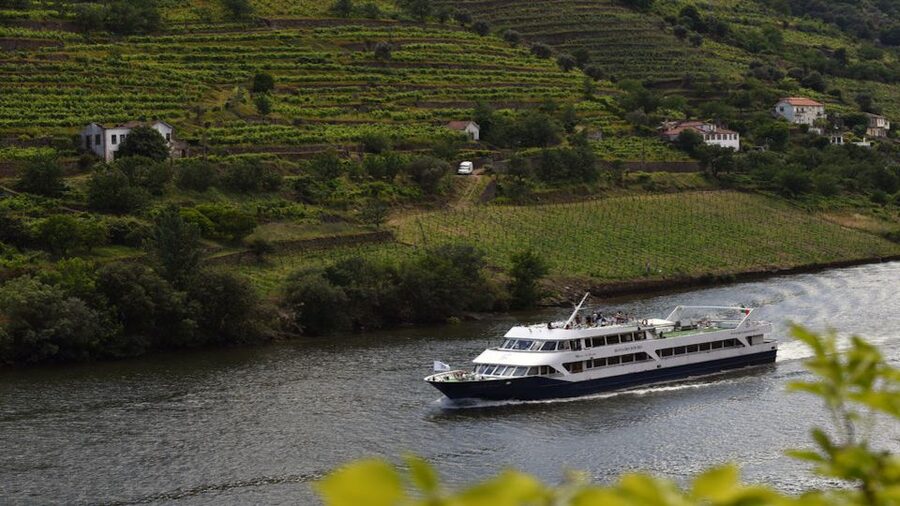 From Porto: Douro River Cruise, Winery Visit & Lunch - Who this tour suits best