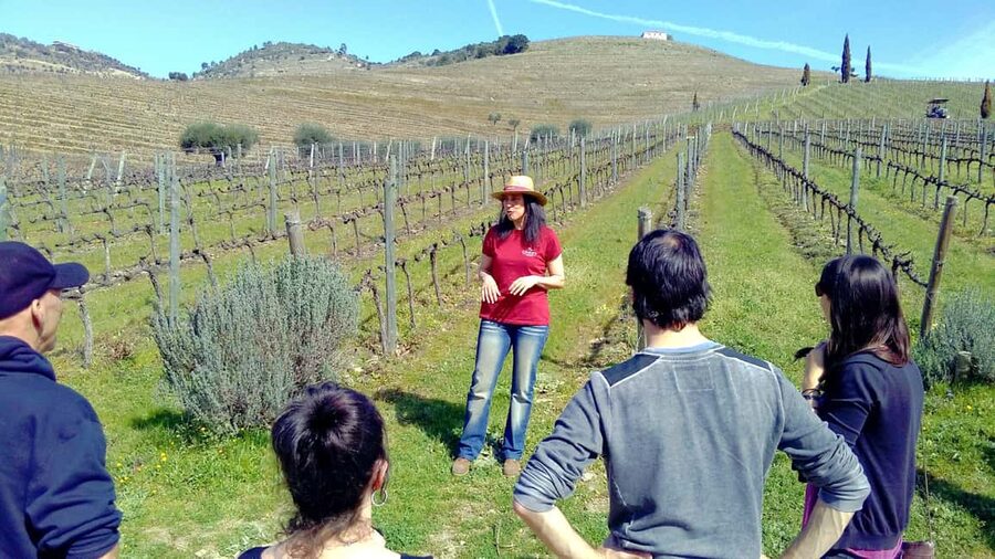 From Porto: Douro Valley 3 Vineyards Tour with Lunch - A Full-Day Douro Valley Wine Day That Starts in Porto