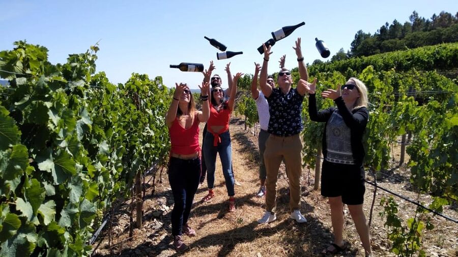 From Porto: Douro Valley Tour with Tastings, Boat & Lunch - Your first Douro Valley stop: viewpoints and tasting time