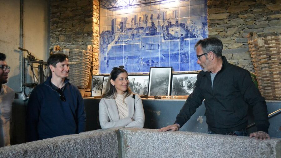 From Porto: Douro Valley Tour with Tastings, Boat & Lunch - Pinhão boat cruise: the view from the water (and why it matters)