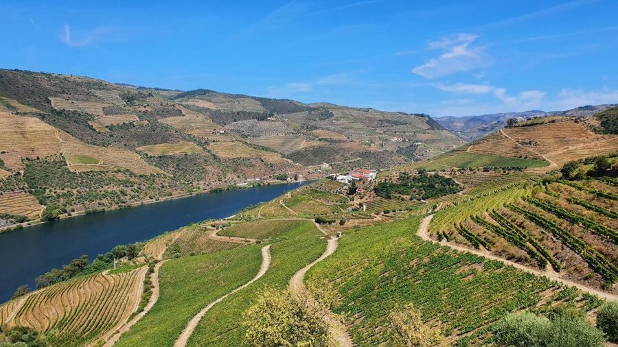 From Porto Douro Valley Tour with Train and Vinho Verde - From Porto to Peso da Régua: the first taste of the river mood