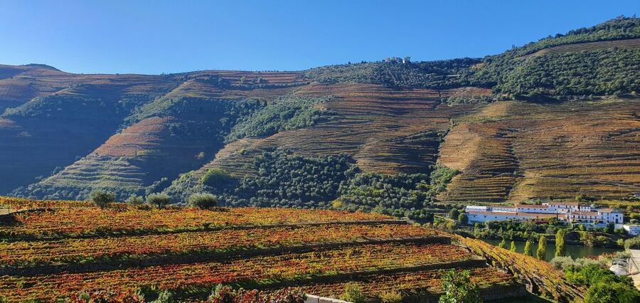 From Porto Douro Valley Tour with Train and Vinho Verde - Train ride + the N222 scenic drive: seeing the valley from different angles