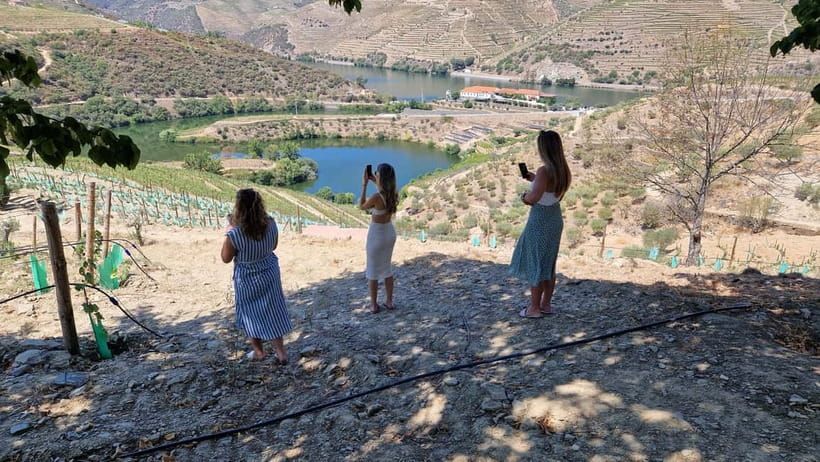From Porto Douro Valley Tour with Train and Vinho Verde - Sabrosa winery time: guided tasting that adds context to the wine